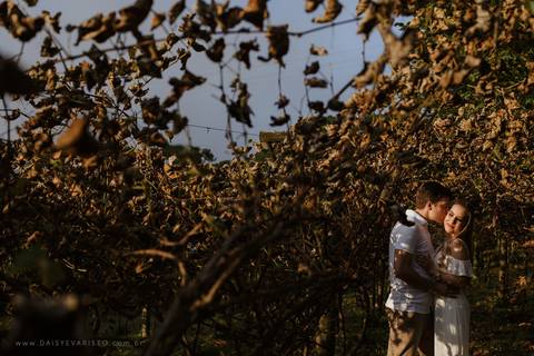 fotografo joinville casamento ensaio  pre-casamento  pre-wedding diferente lifestyle em casa noiva noivo cachorro pet mini wedding Fernanda Sander Lago da Serra Campo alegre noivos'