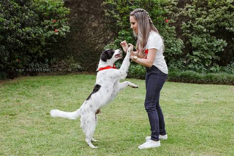 fotografo joinville casamento ensaio  pre-casamento  pre-wedding diferente lifestyle em casa noiva noivo cachorro pet mini wedding Fernanda Sander Lago da Serra Campo alegre noivos'