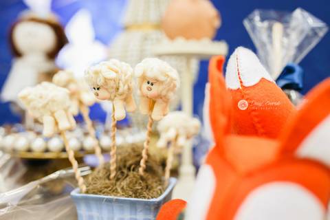 fotografo joinville gestante gravidez gravida ensaio foto aniversário festerê pety paio joao vitor pequeno principe decoração estudio deise evaristo daisy daysi vanessa sestrem ballman festa de aniversário casa de festa joinville'