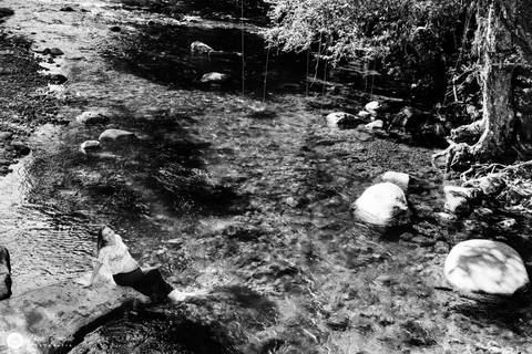 ensaio gestante joinville gravida gravidez casamento mini wedding fotografo joinville rio quiriri vila nova arroz deise dayse evaristo esperando otavio '