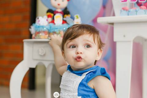 fotografo joinville decoração alice no pais das maravilhas festa aniversario alice 1 ano'