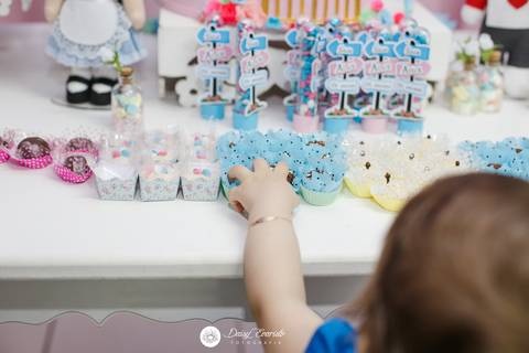 fotografo joinville decoração alice no pais das maravilhas festa aniversario alice 1 ano'
