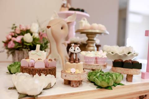 fotografo aniversario joinville festere pety paio casa de festa fabrica de festa decoração animais floresta fabrica de festa'