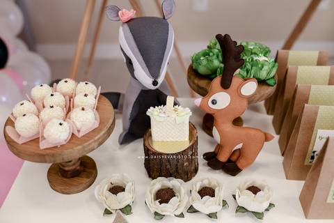 fotografo aniversario joinville festere pety paio casa de festa fabrica de festa decoração animais floresta fabrica de festa'