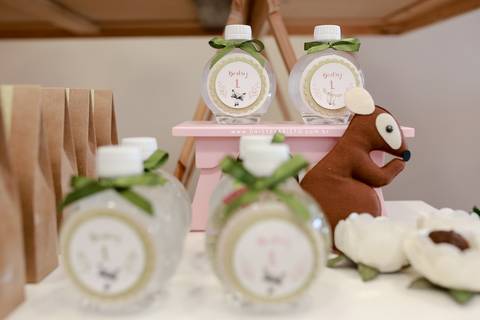 fotografo aniversario joinville festere pety paio casa de festa fabrica de festa decoração animais floresta fabrica de festa'