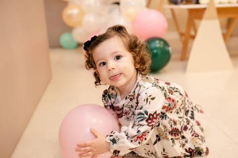 fotografo aniversario joinville festere pety paio casa de festa fabrica de festa decoração animais floresta fabrica de festa'