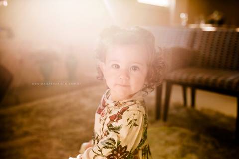 fotografo aniversario joinville festere pety paio casa de festa fabrica de festa decoração animais floresta fabrica de festa'