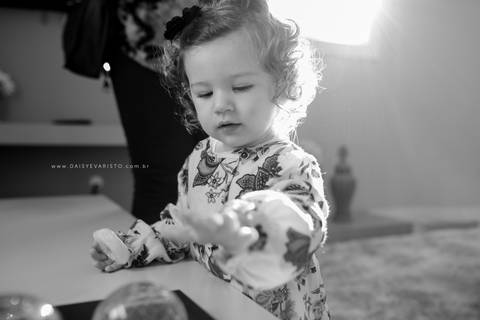 fotografo aniversario joinville festere pety paio casa de festa fabrica de festa decoração animais floresta fabrica de festa'