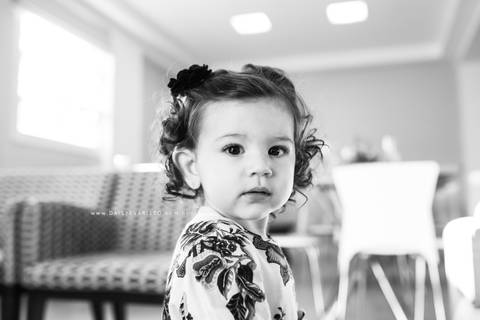 fotografo aniversario joinville festere pety paio casa de festa fabrica de festa decoração animais floresta fabrica de festa'