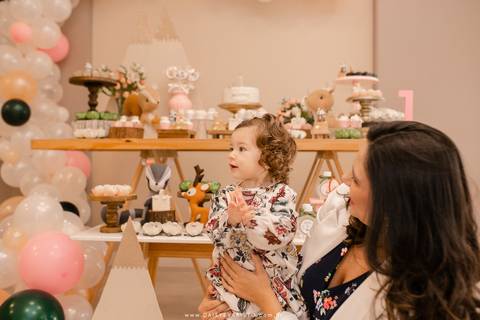 fotografo aniversario joinville festere pety paio casa de festa fabrica de festa decoração animais floresta fabrica de festa'