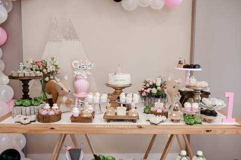 fotografo aniversario joinville festere pety paio casa de festa fabrica de festa decoração animais floresta fabrica de festa'