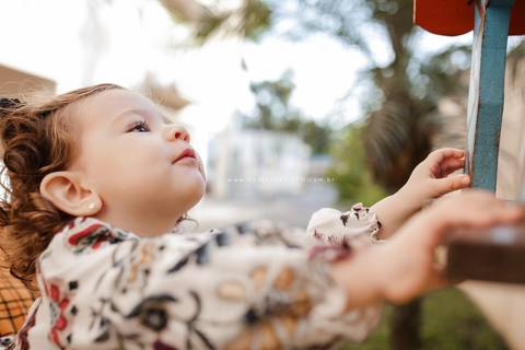 fotografo aniversario joinville festere pety paio casa de festa fabrica de festa decoração animais floresta fabrica de festa'