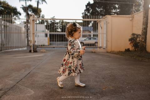 fotografo aniversario joinville festere pety paio casa de festa fabrica de festa decoração animais floresta fabrica de festa'