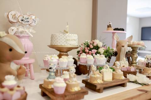 fotografo aniversario joinville festere pety paio casa de festa fabrica de festa decoração animais floresta fabrica de festa'