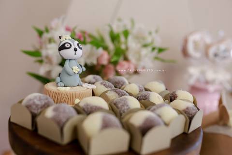 fotografo aniversario joinville festere pety paio casa de festa fabrica de festa decoração animais floresta fabrica de festa'