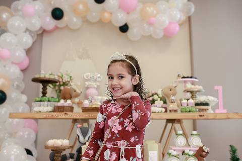 fotografo aniversario joinville festere pety paio casa de festa fabrica de festa decoração animais floresta fabrica de festa'