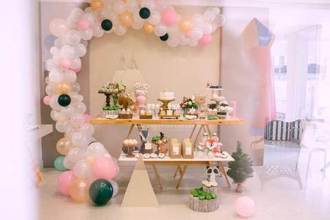 fotografo aniversario joinville festere pety paio casa de festa fabrica de festa decoração animais floresta fabrica de festa'