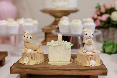 fotografo aniversario joinville festere pety paio casa de festa fabrica de festa decoração animais floresta fabrica de festa'