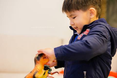 fotografo aniversario joinville festere pety paio casa de festa joinville fabrica de festas decoração dinossauros Caio 3 anos'