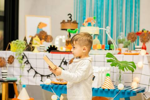 fotografo aniversario joinville festere pety paio casa de festa joinville fabrica de festas decoração dinossauros Caio 3 anos'