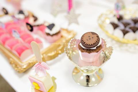 fotografo aniversario joinville festere pety paio casa de festa joinville fabrica de festas aquarela festas decoração brincanto festas star wars princesa leia Klara 5 anos'