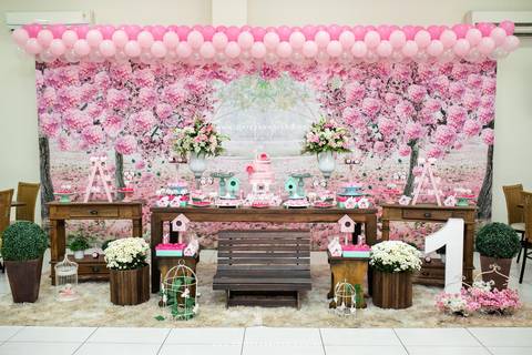 decoração fotografo aniversario joinville festere pety paio casa de festa joinville fabrica de festas aquarela festas jardim rosa helena 1 ano'