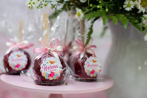 decoração fotografo aniversario joinville festere pety paio casa de festa joinville fabrica de festas aquarela festas jardim rosa helena 1 ano'