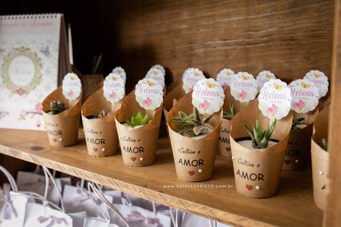 decoração fotografo aniversario joinville festere pety paio casa de festa joinville fabrica de festas aquarela festas jardim rosa helena 1 ano'