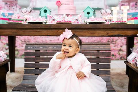 decoração fotografo aniversario joinville festere pety paio casa de festa joinville fabrica de festas aquarela festas jardim rosa helena 1 ano'
