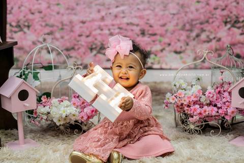 decoração fotografo aniversario joinville festere pety paio casa de festa joinville fabrica de festas aquarela festas jardim rosa helena 1 ano'