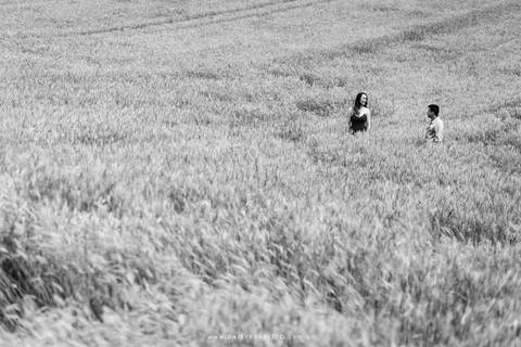 fotografo casamento ensaio gestante gravidez pre casamento noivos joinville campo alegre tais e kennedy balão campo trigo ensaio lindo campo alegre felicidade'