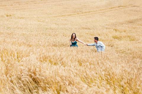 fotografo casamento ensaio gestante gravidez pre casamento noivos joinville campo alegre tais e kennedy balão campo trigo ensaio lindo campo alegre felicidade'
