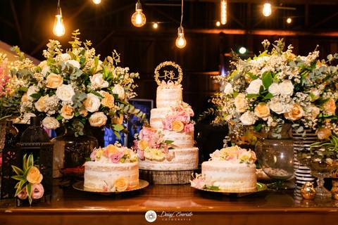 fotografo casamento joinville deise dayse daysi daisy evaristo JEV decorações local para casamento recanto santa catarina tais coradelli e kennedy são judas tadeu'