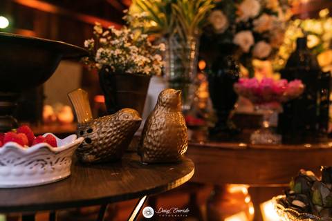 fotografo casamento joinville deise dayse daysi daisy evaristo JEV decorações local para casamento recanto santa catarina tais coradelli e kennedy são judas tadeu'