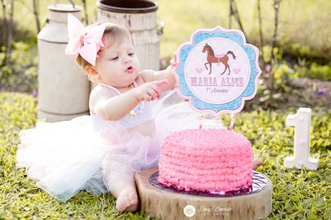 fotografia fotografo infantil familia gestante aniversario joinville banho banheira aluminio ar livre externo maria alice jaque thiago cowntry smash the cake'