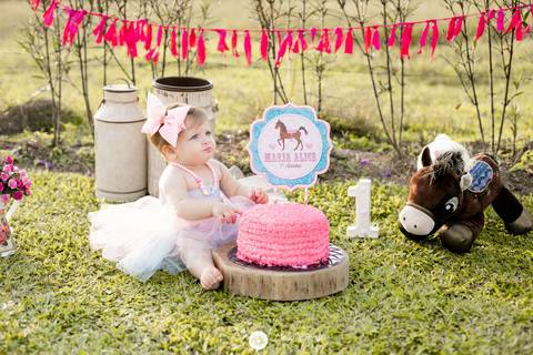 fotografia fotografo infantil familia gestante aniversario joinville banho banheira aluminio ar livre externo maria alice jaque thiago cowntry smash the cake'