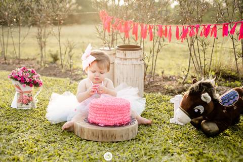 fotografia fotografo infantil familia gestante aniversario joinville banho banheira aluminio ar livre externo maria alice jaque thiago cowntry smash the cake'