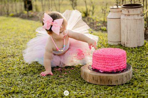 fotografia fotografo infantil familia gestante aniversario joinville banho banheira aluminio ar livre externo maria alice jaque thiago cowntry smash the cake'