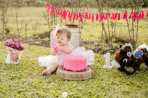 fotografia fotografo infantil familia gestante aniversario joinville banho banheira aluminio ar livre externo maria alice jaque thiago cowntry smash the cake'