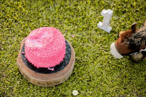 fotografia fotografo infantil familia gestante aniversario joinville banho banheira aluminio ar livre externo maria alice jaque thiago cowntry smash the cake'