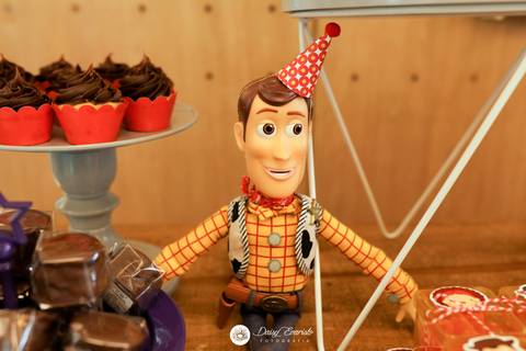 fotografo aniversario casamento ensaio joinville decoração toy story  Heitor 5 anos fabrica de festas futebol'