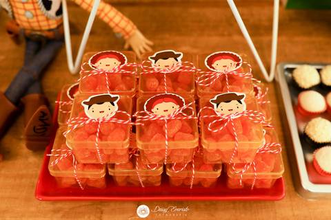 fotografo aniversario casamento ensaio joinville decoração toy story  Heitor 5 anos fabrica de festas futebol'