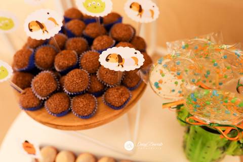 fotografo aniversario casamento ensaio joinville decoração toy story  Heitor 5 anos fabrica de festas futebol'