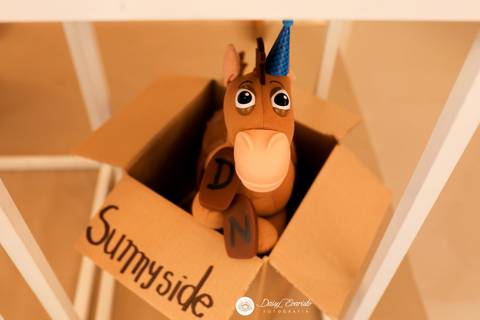 fotografo aniversario casamento ensaio joinville decoração toy story  Heitor 5 anos fabrica de festas futebol'