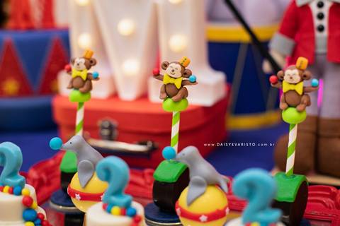 fotografo joinville daisy deise deisy evaristo aniversario decoração circo casa de festa in festa buffet guilherme miguel decoração doces personalizados'