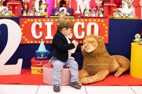 fotografo joinville daisy deise deisy evaristo aniversario decoração circo casa de festa in festa buffet guilherme miguel diversão'