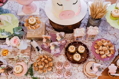 fotografo festa aniversário atelie criando sonhos decoração campestre cavalo rustica joinville campo alegre Haras DSR Carmel 4 anos'