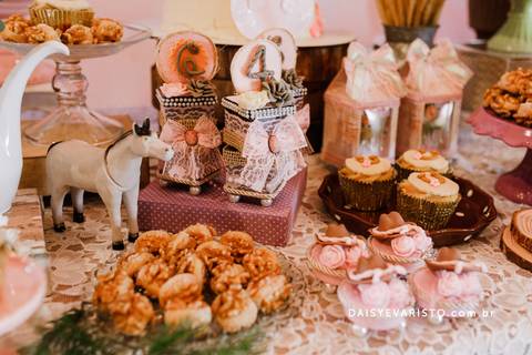 fotografo festa aniversário atelie criando sonhos decoração campestre cavalo rustica joinville campo alegre Haras DSR Carmel 4 anos'