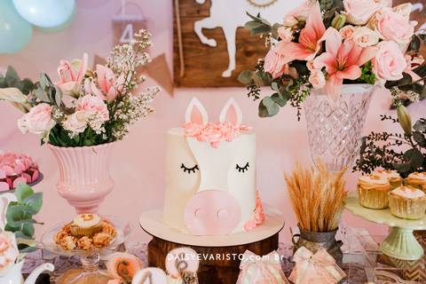 fotografo festa aniversário atelie criando sonhos decoração campestre cavalo rustica joinville campo alegre Haras DSR Carmel 4 anos'