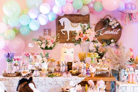 fotografo festa aniversário atelie criando sonhos decoração campestre cavalo rustica joinville campo alegre Haras DSR Carmel 4 anos'